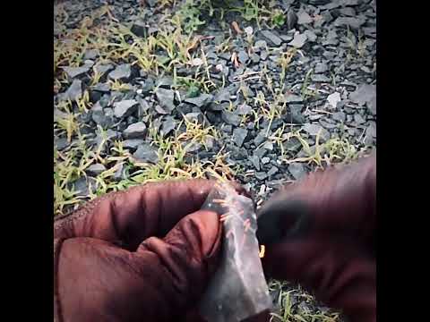 Flint and Steel - Colonial